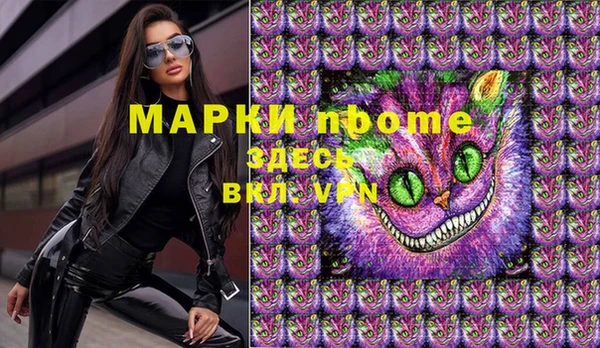 шишки Белоозёрский